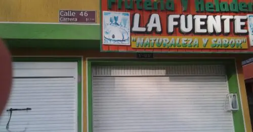 FRUTERIA Y HELADERIA LA FUENTE FRUTERIA Y HELADERIA LA FUENTE